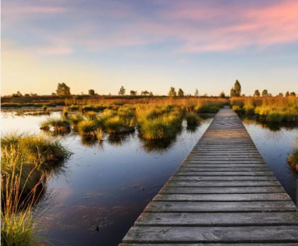 Gite Ardennes Au Coin Du Feu Jacuzzi Sauna Et Nature Jalhay Exteriér fotografie